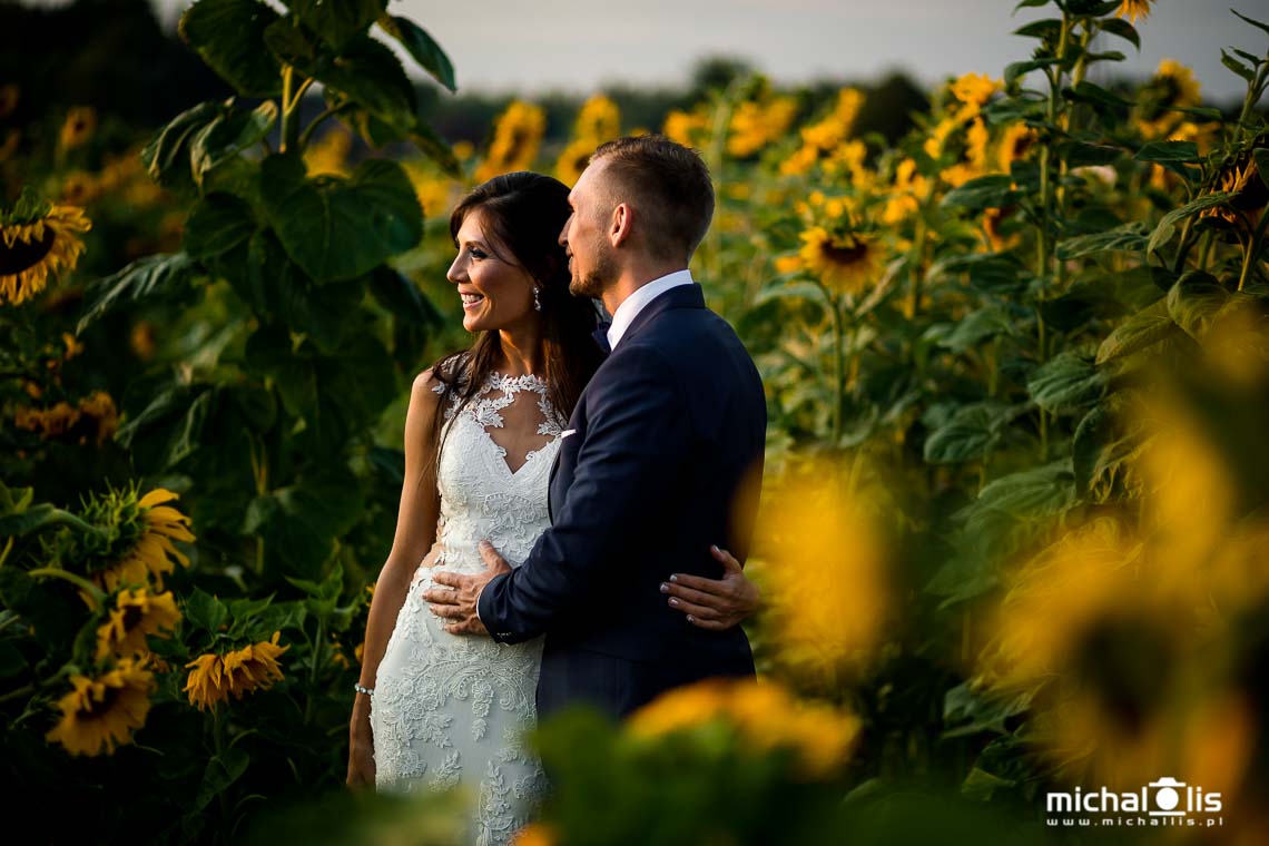 sesja ślubna w słonecznikach fotograf ślubny wrocław