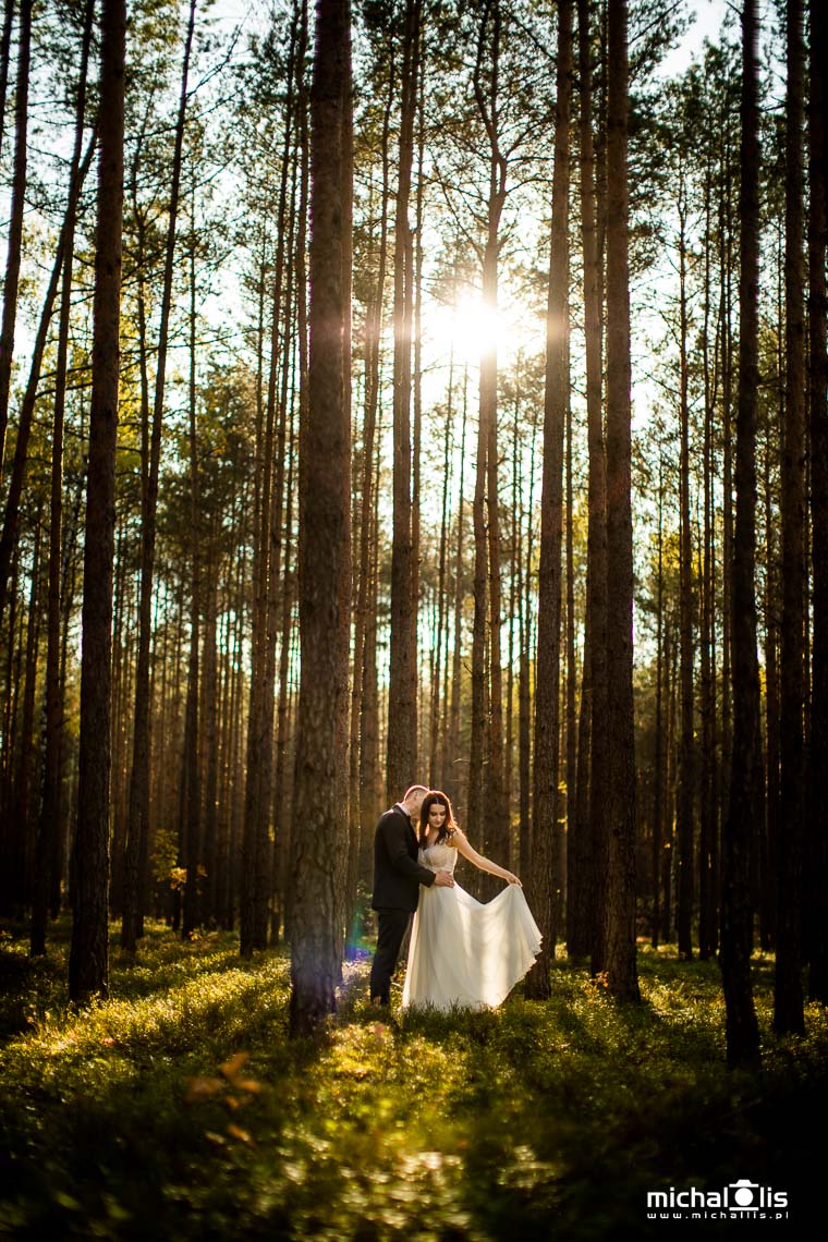 słoneczny plener ślubny w lesie, zdjęcia ślubne Wrocław